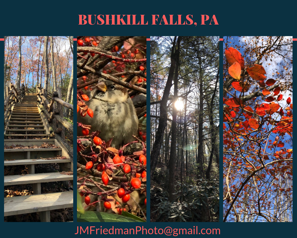 Bushkill Falls, PA